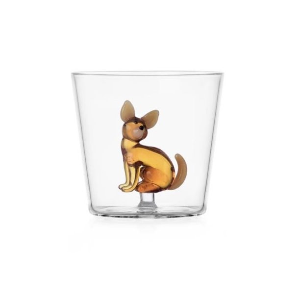 Drikkeglas, Chihuahua